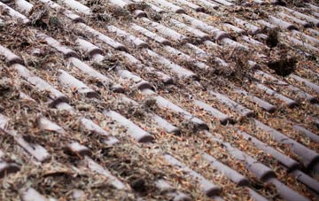 Green Gate roof cleaning companies