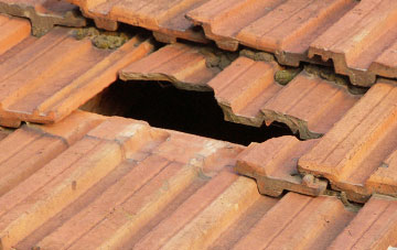 roof repair Green Gate, Devon